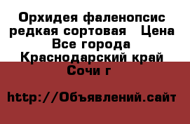 Орхидея фаленопсис редкая сортовая › Цена ­ 800 - Все города  »    . Краснодарский край,Сочи г.